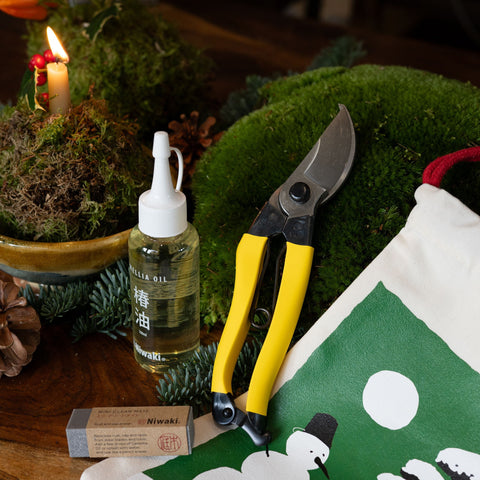 De ce grădinarii profesioniști aleg Niwaki pentru plante ornamentale și bonsai