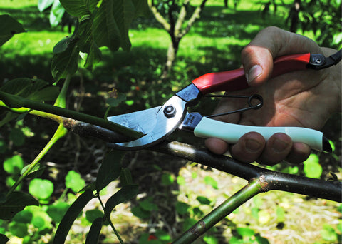 Foarfeca Okatsune 104 - Putere și control pentru mâini mari și tăieri solicitante