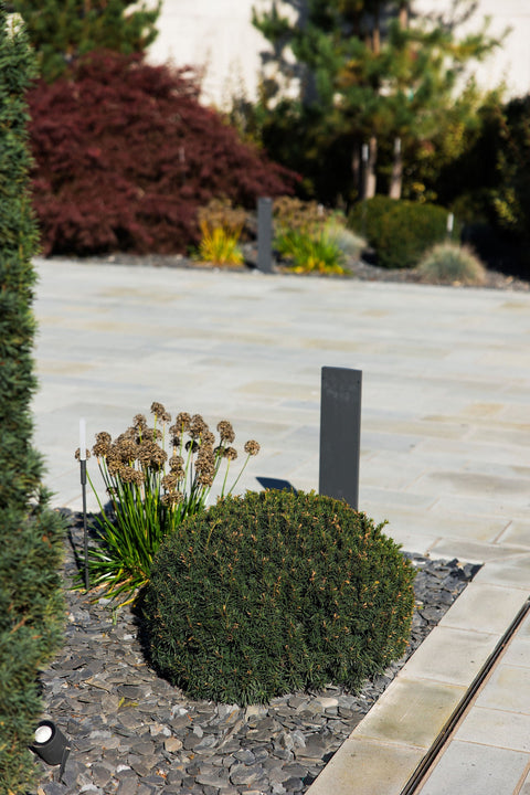 Marmura feliată neagră – Piatra decorativă care transformă orice grădină