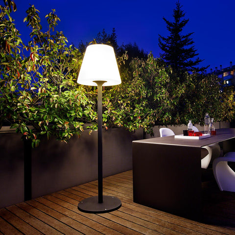 Ghidul complet al gardului viu perfect (2026). Ce specie să alegi? Comparăm Photinia, Laur Englezesc, Taxus, Ligustrum, Carpen, Leylandii și Lonicera