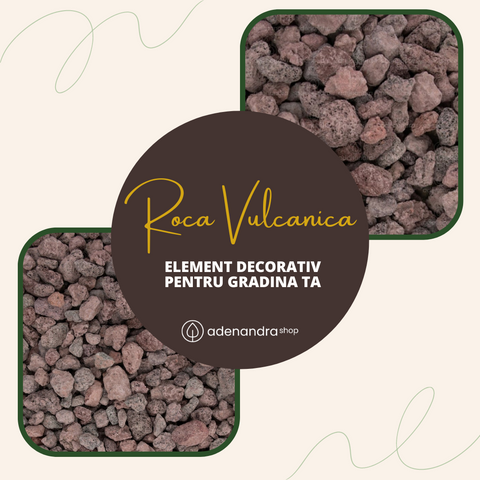 Rocă vulcanică – materialul esențial în amenajările moderne de grădină