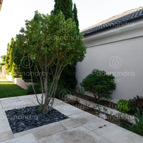 Marmura neagra feliata, ardezie, granulatie 20-50 mm, 25 Kg