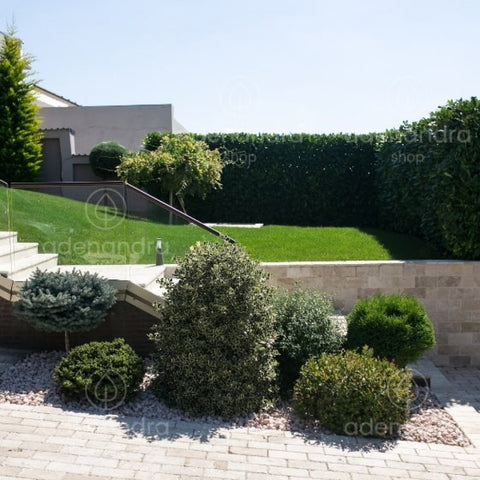 Marmura rotunjita Rosso Verona, 25-40 mm, 25 Kg