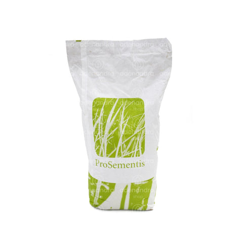 Seminte de gazon sport Prosementis, 10 Kg