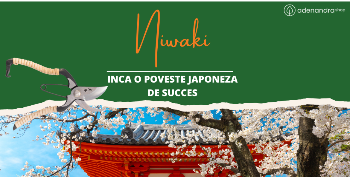 https://adenandra.shop/image/cache/catalog/Plante/ARTICOLE%20BLOG%20niwaki-1170x600.png
