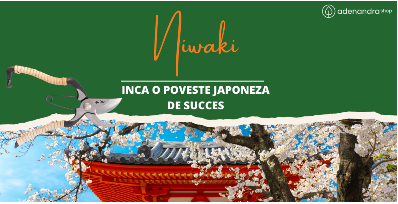 Niwaki, inca o poveste japoneza de succes