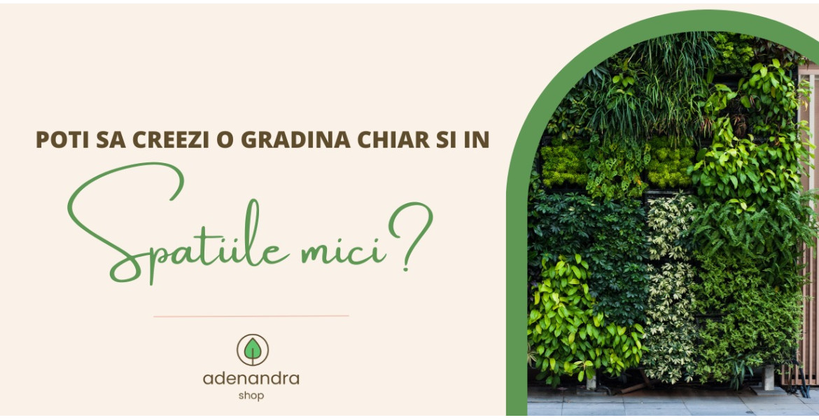 https://adenandra.shop/image/cache/catalog/Plante/Crearea%20unei%20gradini%20in%20spatii%20mici-1170x600.jpeg