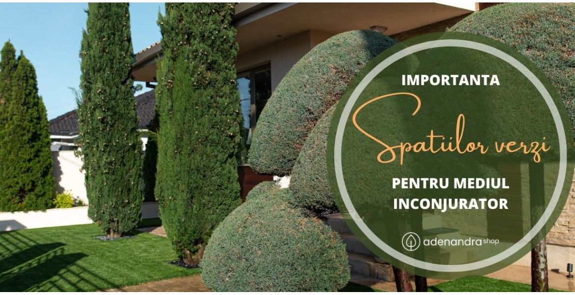 https://adenandra.shop/image/cache/catalog/blog/Importanta%20spatiilor%20verzi%20pentru%20mediul%20inconjurator%20Adenandra.shop-1170x600.jpg